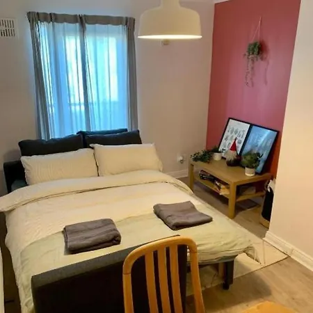 1 Bedroom And Double Sofa Bed Near Guinness Storehouse * Dublin