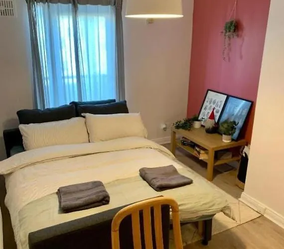 1 Bedroom And Double Sofa Bed Near Guinness Storehouse * Dublin